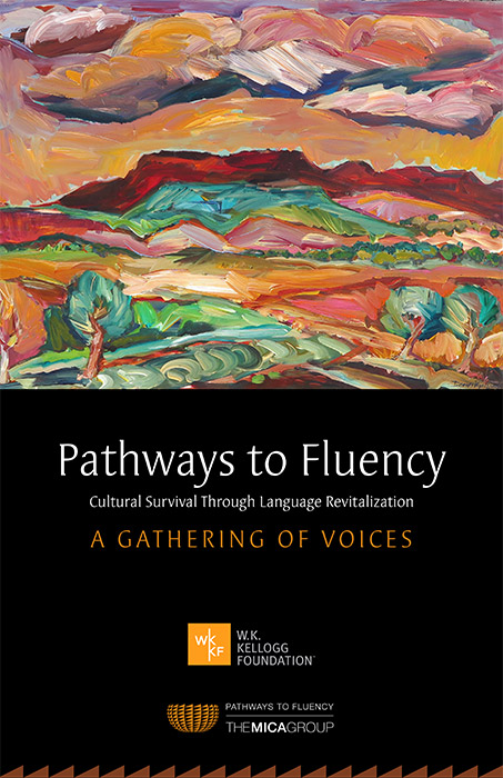 Pathways to Fluency Poster
